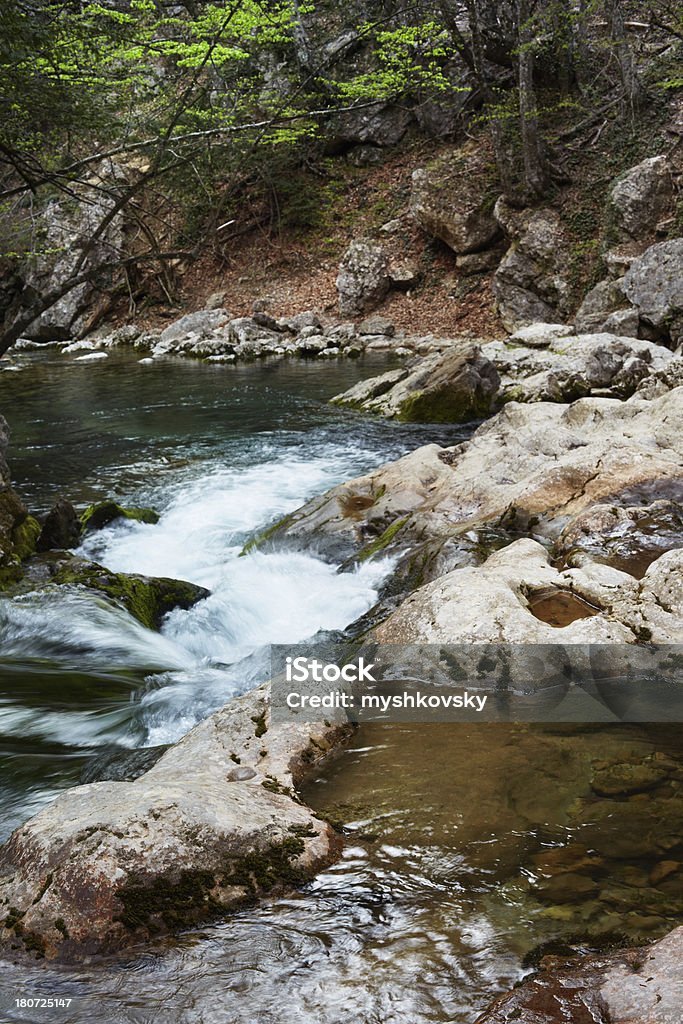 Río de montaña - Foto de stock de Agua libre de derechos