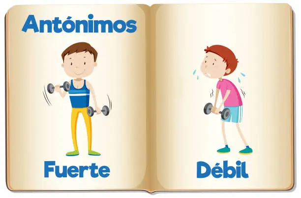 Vector illustration of Spanish Language Education: Strong and Weak