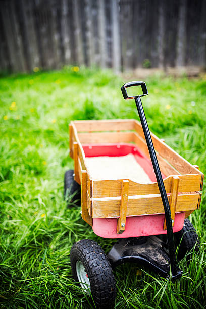 istock Childrens Wagon on Green Grass 180725185