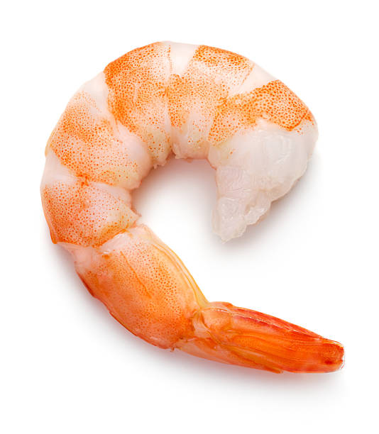 Shpimp Shrimp isolated on white tail fin photos stock pictures, royalty-free photos & images