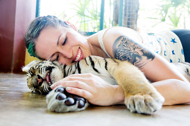 istock Petting a Baby Tiger 180726171