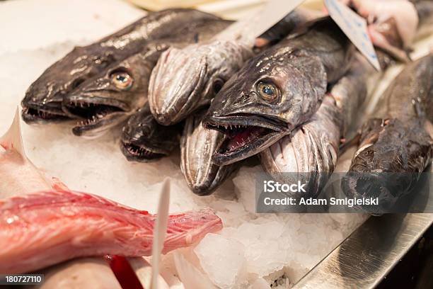 魚市場マーケット - イワシのストックフォトや画像を多数ご用意 - イワシ, エビ料理, ゴウシュウマダイ