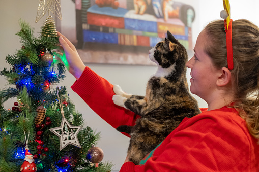 A young woman holding pet cat next to christmas tree