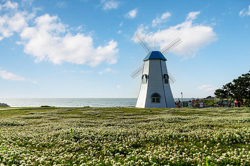 landscape with windmill