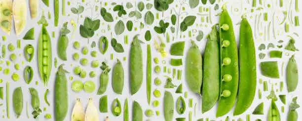 Pea and Pod vegetable piece, slice and leaf collection. Flat lay, seamless abstract on gray background.