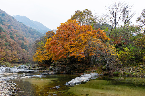 autumn valley