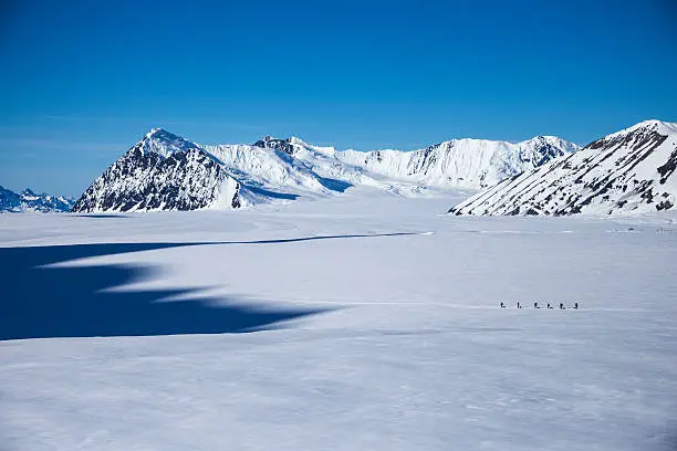 A team of mountaineers traverse the very large Kahiltna Glacier on their way to climb Mount McKinley in Alaska.