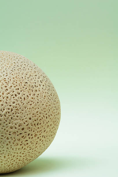 istock Fresh cantaloupe and Mint Green Background 180729806