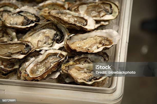 Foto de Culinária Ostras No Gelo e mais fotos de stock de Comida - Comida, Comida e bebida, Concha - Parte do corpo animal