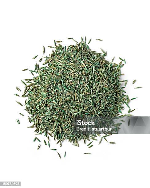 Grass Seed Isolated Stock Photo - Download Image Now - Seed, Grass, Lawn