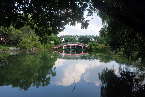 Sri Nakhon Park in Phra Pradaeng District near Bangkok, Thailand