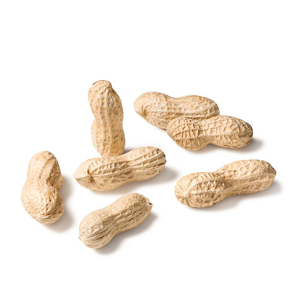 Peanuts stock photo