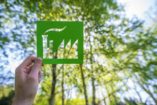 ręka trzyma zielonych fabryki na las - plant ecology zdjęcia i obrazy z banku zdjęć