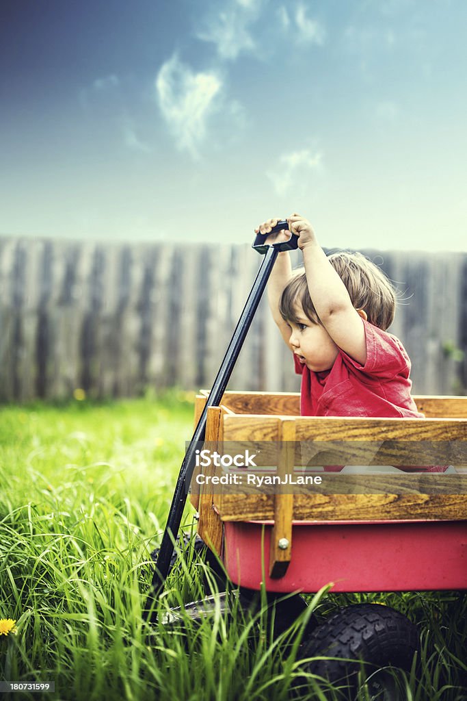 Chico en vagón on Green Grass - Foto de stock de 12-17 meses libre de derechos