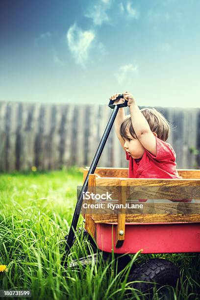 Ragazzo Sullerba Verde In Una Carrozza - Fotografie stock e altre immagini di 12-17 mesi - 12-17 mesi, Ambientazione esterna, Avventura