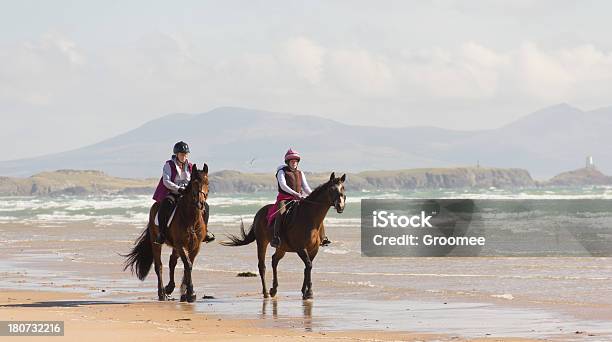 Melhores Coisas Da Vida São Grátis - Fotografias de stock e mais imagens de Cavalo - Família do Cavalo - Cavalo - Família do Cavalo, Anglesey - País de Gales, Cavalgar