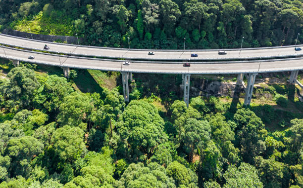 istock Aerial view of a provincial road passing through a forest 1807325224