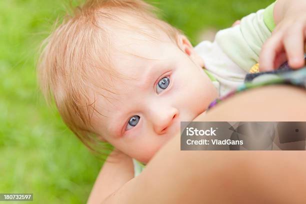 Bebé En Período De Lactancia Foto de stock y más banco de imágenes de 12-17 meses - 12-17 meses, 6-11 meses, Adulto