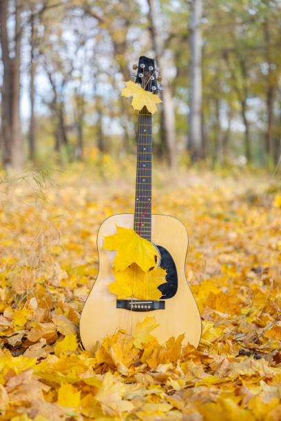 guitar in autumn leaves on a sunny day