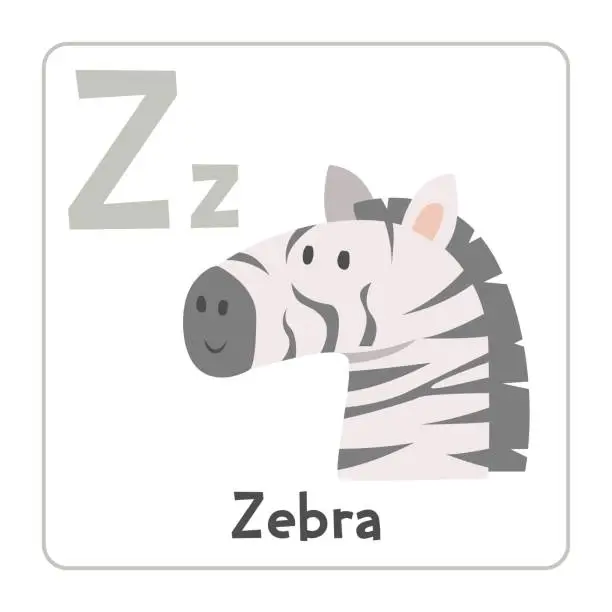 Vector illustration of Zebra clipart. Zebra vector illustration cartoon flat style. Animals start with letter Z. Animal alphabet card. Learning letter Z card. Kids education. Cute zebra vector design