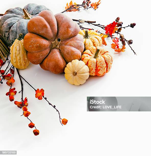 가을맞이 Gourds 및 휴가 0명에 대한 스톡 사진 및 기타 이미지 - 0명, 가을, 갈색