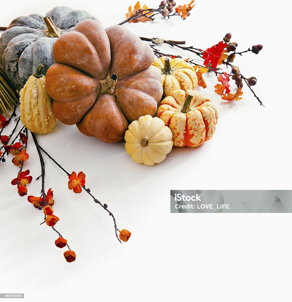 Gourds e Folhas de Outono - Royalty-free Abundância Foto de stock