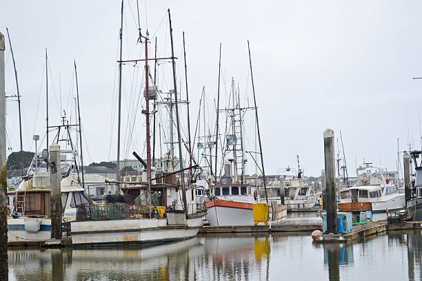 istock Humboldt Bay Marina 180733159