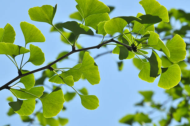 istock Beauty in nature 180733253