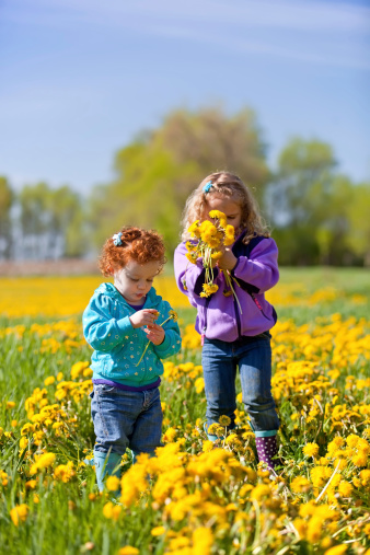 Two young girls playing in a field of dandelions.