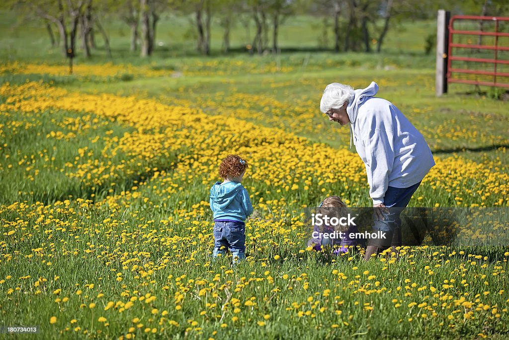 Девочки & Grandma в Одуванчик п�оле - Стоковые фото 12-17 месяцев роялти-фри