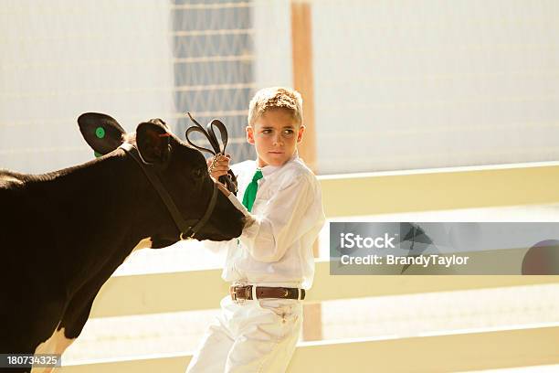 Muestra En Una Feria Del Condado De Foto de stock y más banco de imágenes de 4-H - 4-H, Actuación - Representación, Adulto joven