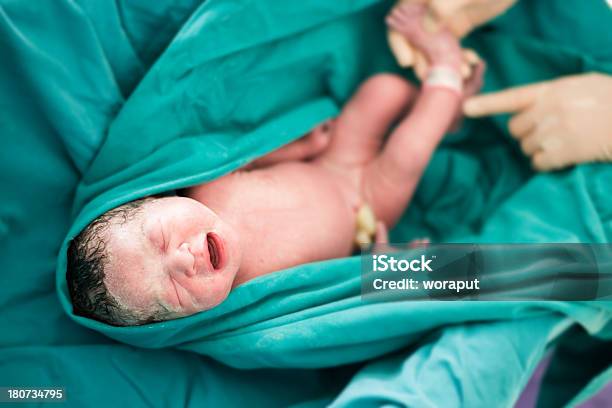 병원에서 신생아를 진찰해야 합니다 0-11 개월에 대한 스톡 사진 및 기타 이미지 - 0-11 개월, 간호사, 개념