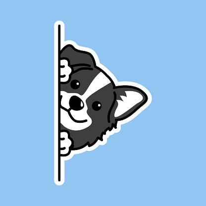 Cute border collie dog peeking cartoon, vector illustration