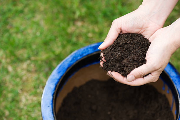 istock Garden hands and flower soil 180734959