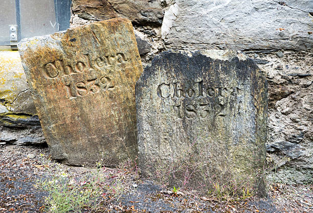 콜레라균 outbreak gravestones - cholera bacterium 뉴스 사진 이미지