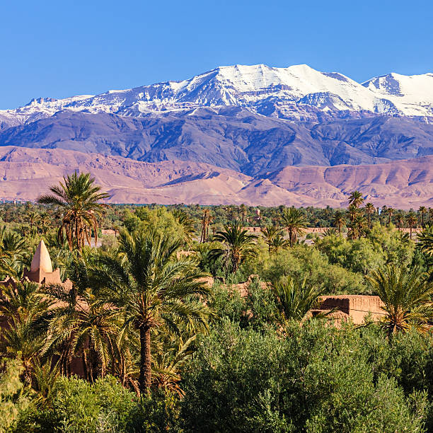 Moroccan oasia and High Atlas mouintain range on th background. The High Atlas rises in the west at the Atlantic Ocean and stretches in an eastern direction to the Moroccan-Algerian border. Jbel Toubkal is the highest peak (4167m) in the range.