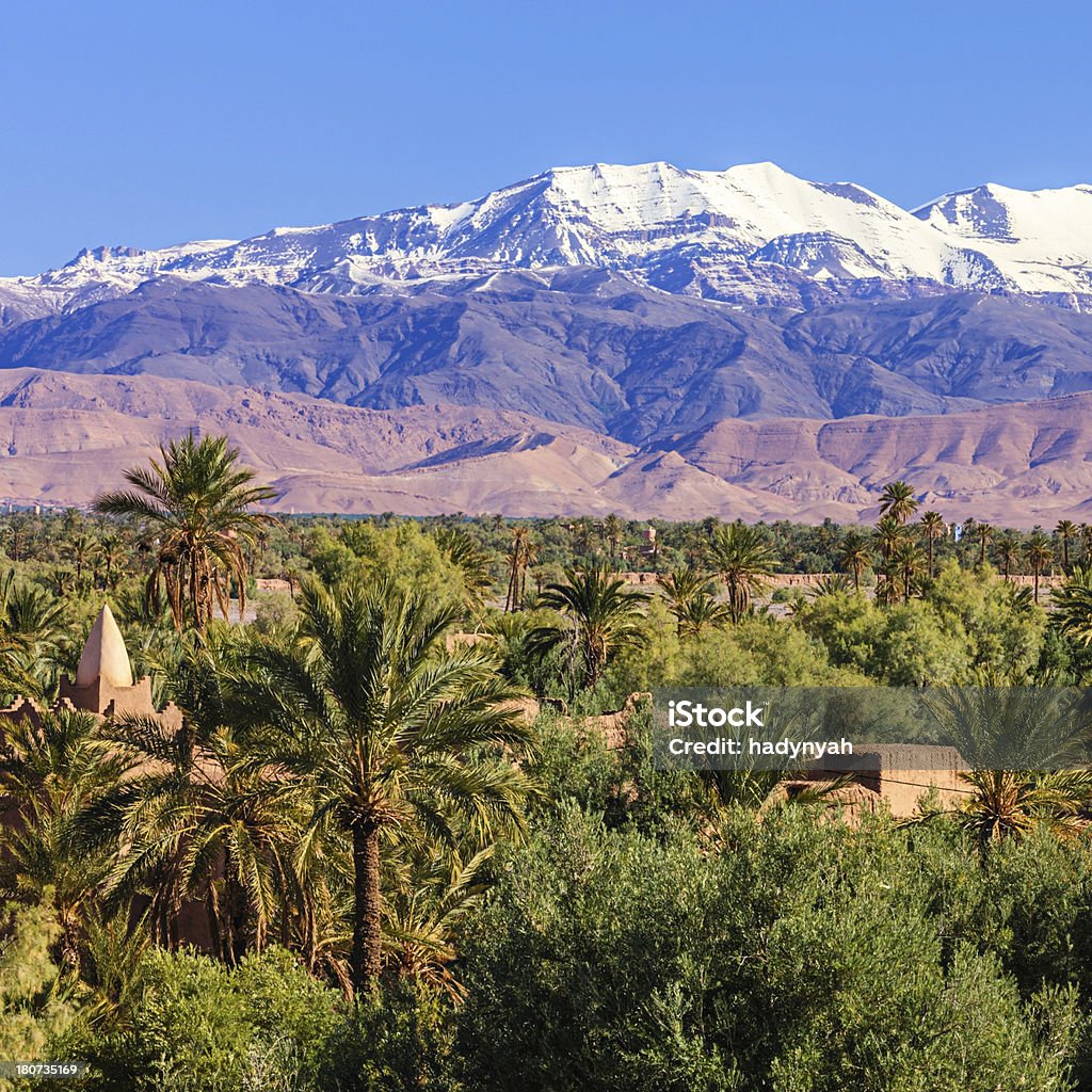 Moroccan oasis and High Atlas mouintain range Moroccan oasia and High Atlas mouintain range on th background. The High Atlas rises in the west at the Atlantic Ocean and stretches in an eastern direction to the Moroccan-Algerian border. Jbel Toubkal is the highest peak (4167m) in the range. Atlas Mountains Stock Photo