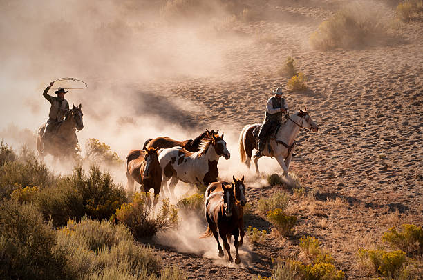 istock Cowboys chasing/roping five running horses-backlit dust 180735980