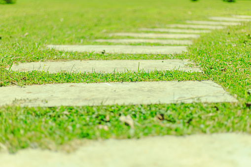 Stone footpath in green Grass