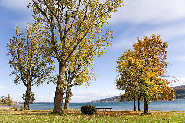 istock Autumn at the lake 180736343