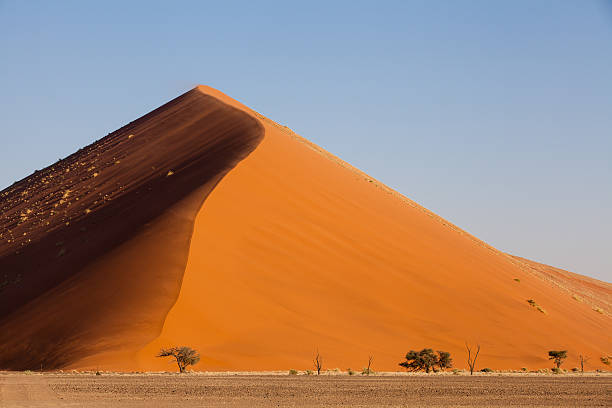 istock Red dune in Namib desert 180736784