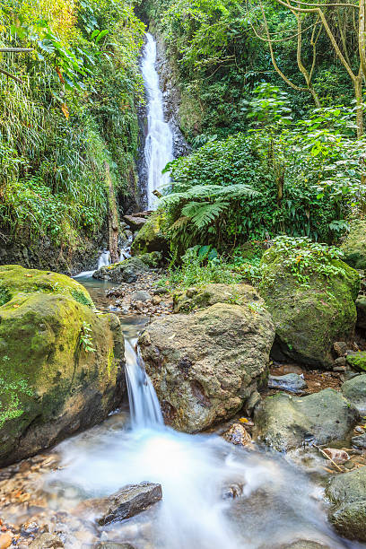 istock Au Coin Falls, Grenada W.I. 180736790