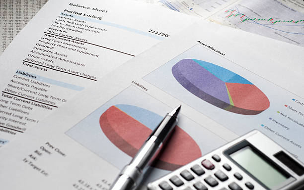 수리재고량 시트 - spreadsheet accounting ledger finance cash flow 뉴스 사진 이미지