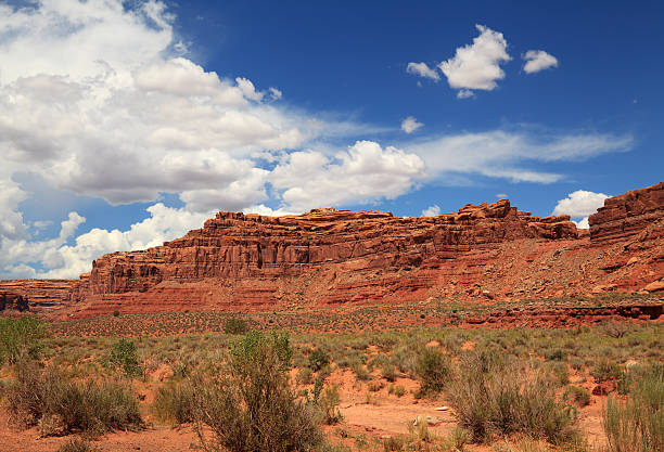 istock Valley of the Gods, Utah 180737140
