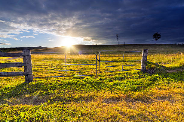 terres agricoles australie - grandchester photos et images de collection