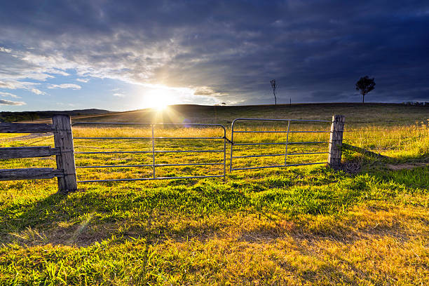 Rustic gate in Australian farmland with open field at sunset.
