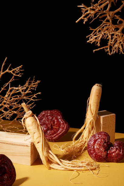 istock LINGZHI AND GINSENG 1807373091