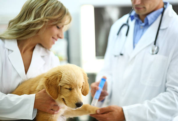 istock Vets giving shot to a puppy. 180737311