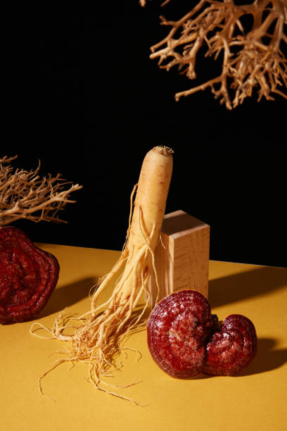 istock LINGZHI AND GINSENG 1807373160