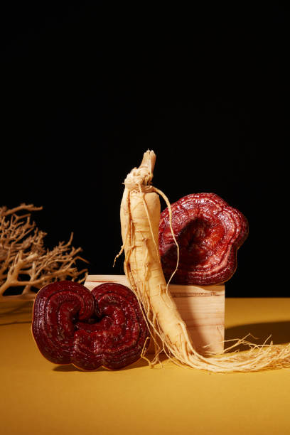 istock LINGZHI AND GINSENG 1807373240